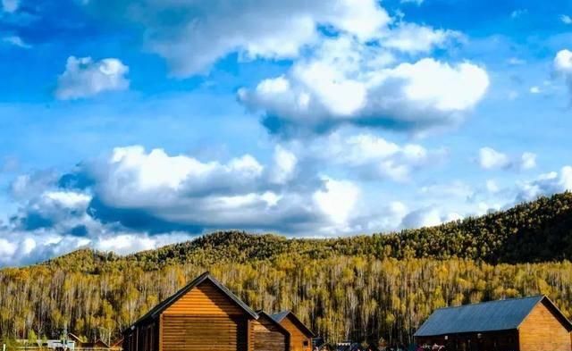 最美的秋天在路上！中国勾魂的秋景就在北疆，惊艳的让人失眠