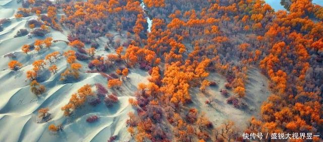 中国曾投资1个亿治理沙漠，种植上亿棵胡杨树，如今怎么样了