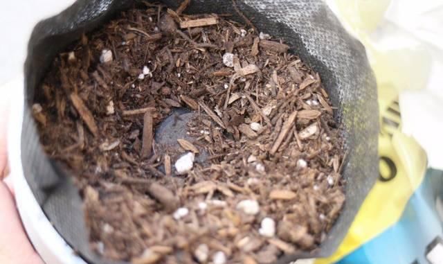  要准备：用水管培育多肉植物垂直种植塔，有创意也能将多肉玩出新花样
