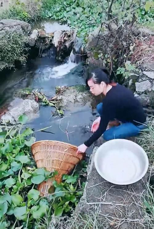  [鱼儿]老祖宗留下来的捕鱼工具，野生小鱼一旦钻进去就出不来了