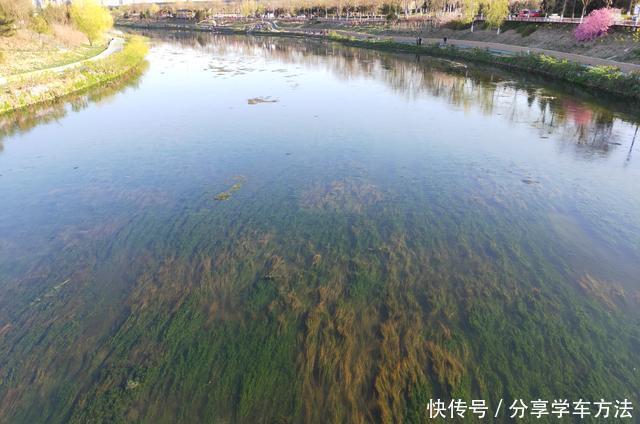  【城市】城市内河，老年人的专属钓场！流水、富养、青苔，比郊外垂钓更难