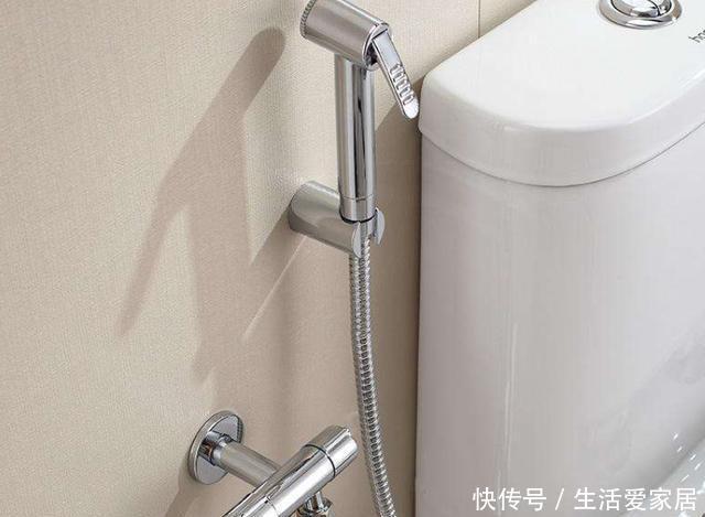 「解决」厕所清洁问题怎么解决?在马桶旁安装这''东西'',解决了卫生难题