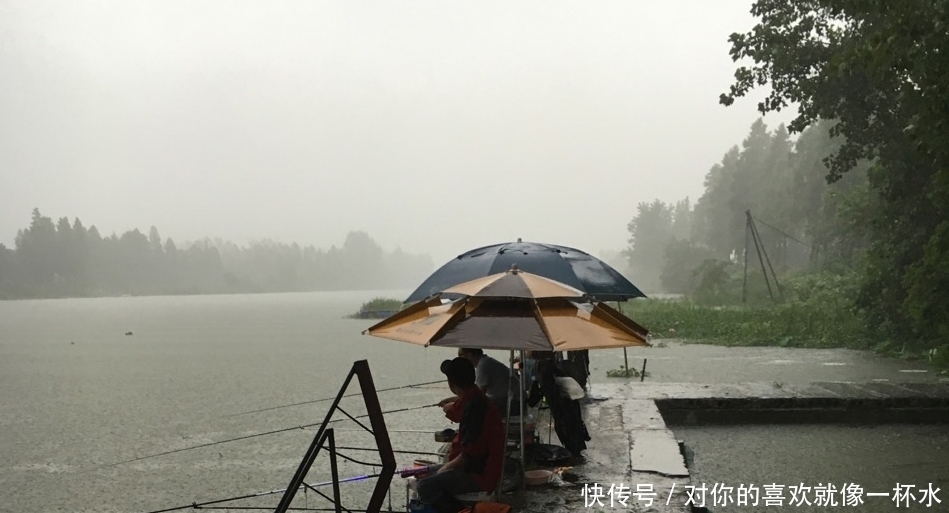 变化|鱼漂阴漂,真的是质量问题吗?其实它有个小秘密