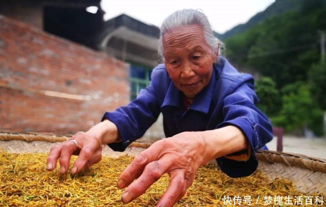 农村俗语：“五指不露缝，一生不受穷”，是什么意思？有道理吗？