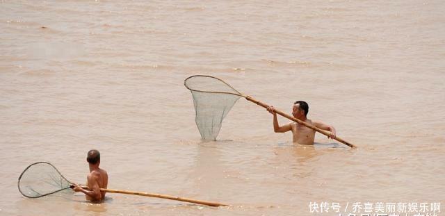  道理：为什么黄河泥沙那么多，鱼还又大又肥？网友一句话阐明道