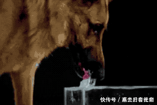 10张看起来像被PS过的图片,你有没有发现它们是真实的画面