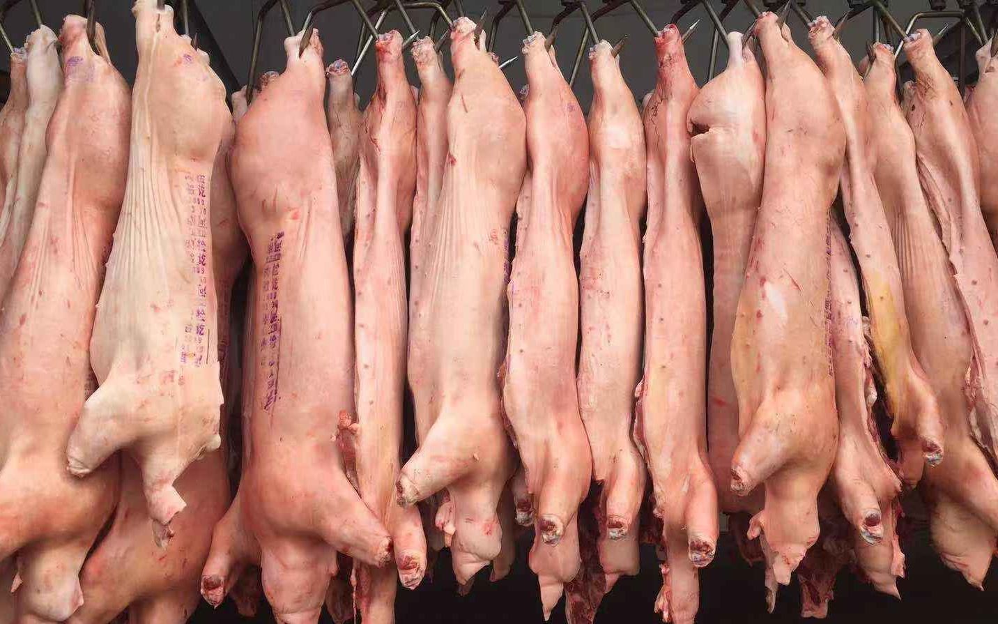  [cpi]都2019年了，猪肉价格为何还这么重要？