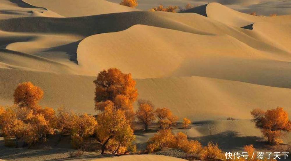 假如塔克拉玛干沙漠每年平均降雨量增加3000毫米,10年后会怎样?