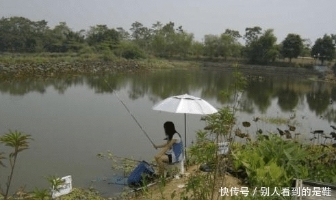  更好|为什么说“退水鱼难钓”？密度大不是更好钓吗？老钓客说出了原因
