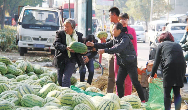 批发市场满地瓜，收购商却没几个，10万斤瓜买不出价瓜农愁苦