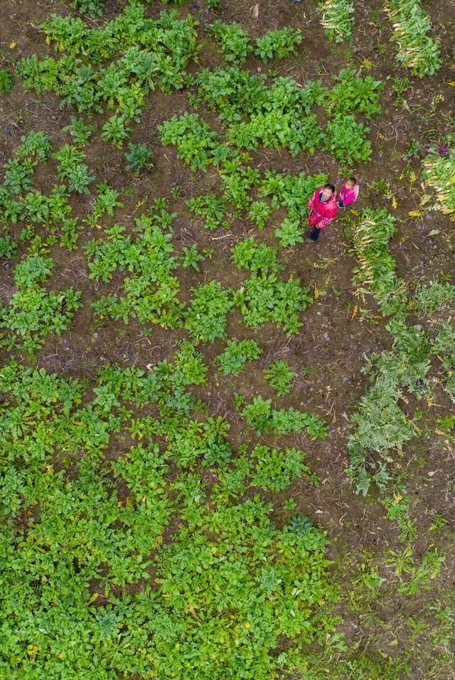 中国摄影网签约摄影师陆文龙作品赏析——《那山那水那些人》