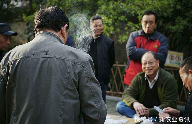  「监管」年底之前，村干部会重点监管4种行为，农民注意别“踩雷