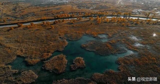 大山 沙漠 湖泊 金胡杨是大自然最完美的构图