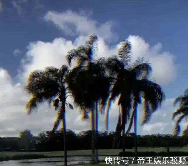 『何猷君』何猷君、奚梦瑶,这恩爱秀得“太漂亮”