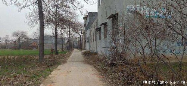 现代农村的高楼大厦, 却变成的空无一人