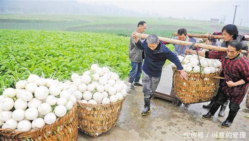 农村干这种生意的人要当心了，专家今年将有50%的经营者要关门