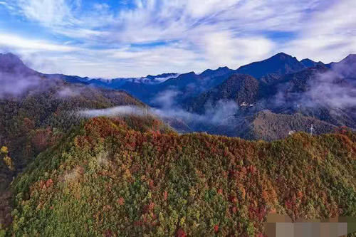 这处藏在秦岭深处的绝美秋景，让人叹为观止，绝对不能错过