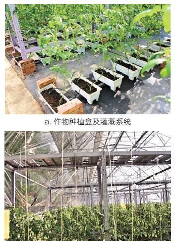  滑盖■知道滑盖手机，那你听说过滑盖日光温室么？