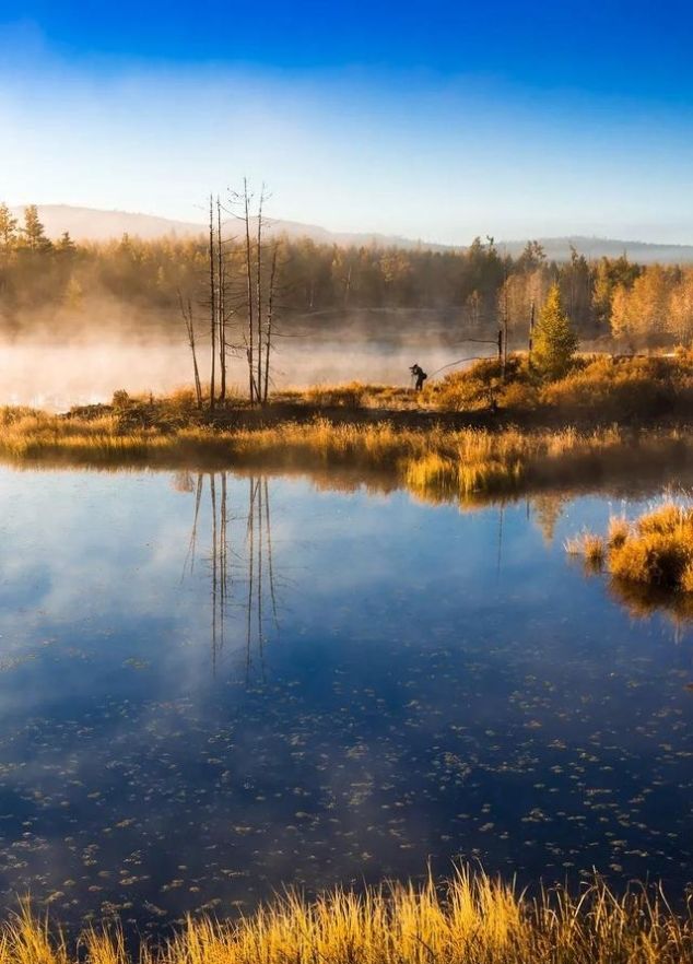 有一种美,叫秋天的乌兰布统