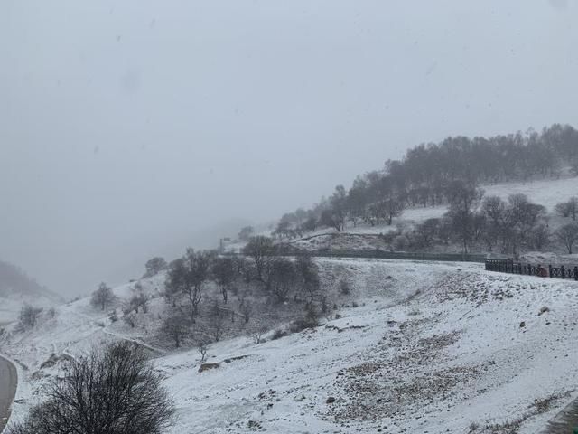  【点点】关山三月飘春雪，点点新绿披银装