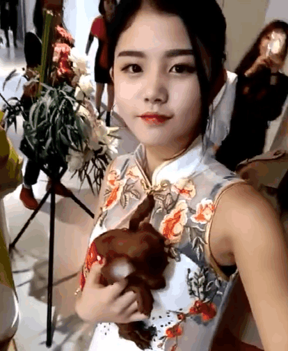 女子穿旗袍参加活动, 小狗趴着的位置亮了, 网友: 放开那个女孩