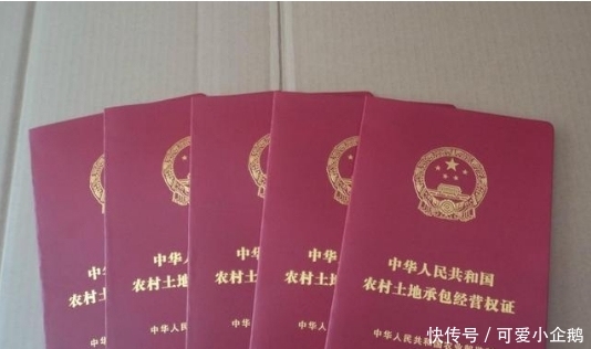 2019年之前，这两个证抓紧时间办，明年有可能就不给办了