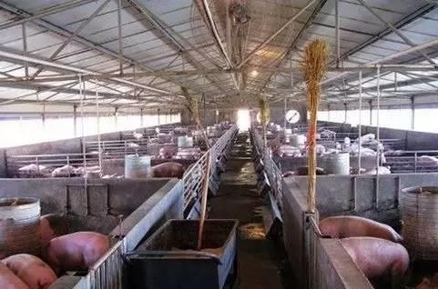  「用地规模」设施农业用地政策4大突破让你想不到，农民办养殖场