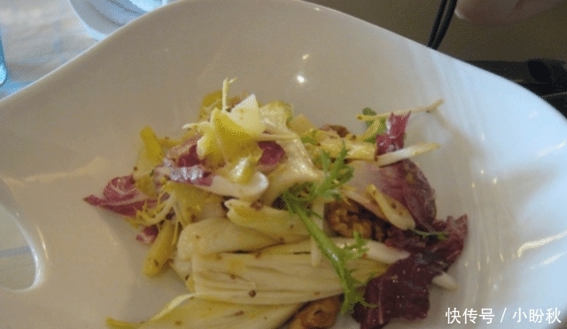  「欧洲」农民种植“见不得光”的蔬菜，在欧洲很火，价格贵但味道不如白菜