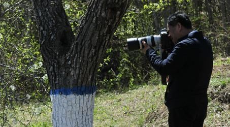  『梨花』劳动节：百年梨园梨花正为您盛开