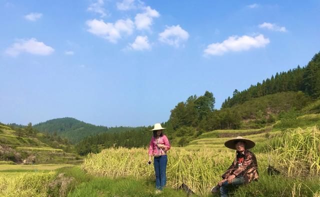 走进广西边远山区苗寨，体验淳朴的苗家生活