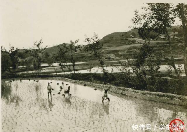  「农村」清末老照片：110年前的农民生活，到处都是土味