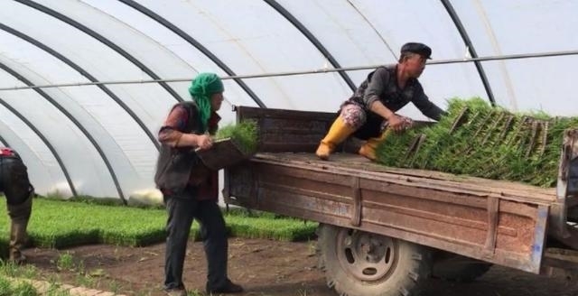 明年开始440个县的农民将迁移别处，政府免费分房，有没有你们