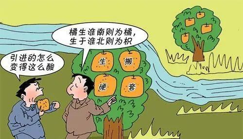  #你身边有几#别让职业球员害了你！盘点一下那些你根本学不来的网球经典战术