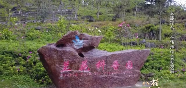 『脱贫攻坚』“三月三”,看广西这些地方的春天故事
