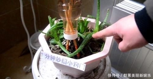  让我们一起■瓶盖上戳2个洞插根筷子，这个作用太牛了，学会一年能省好几百