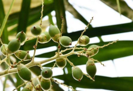 医生劝告：“它”是癌症“元凶”，比地沟油还要脏100倍，很多人