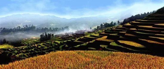 金秋贵州 这些田间地头要美哭了!