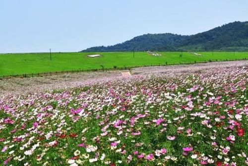  [重点]湖南岳阳华容县最大的镇，位于藕池河南岸，是全国重点镇