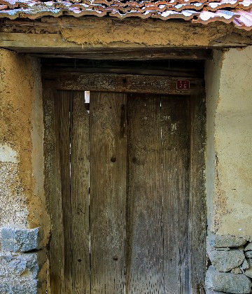  树木@农村老家的树木大家的门，渐渐消失了，难道还有回忆吗