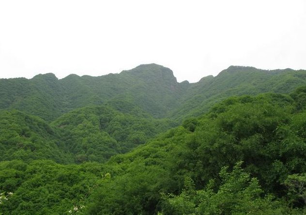 河南最高、最适合爬的13座山峰，景色绝美，你爬过几个?