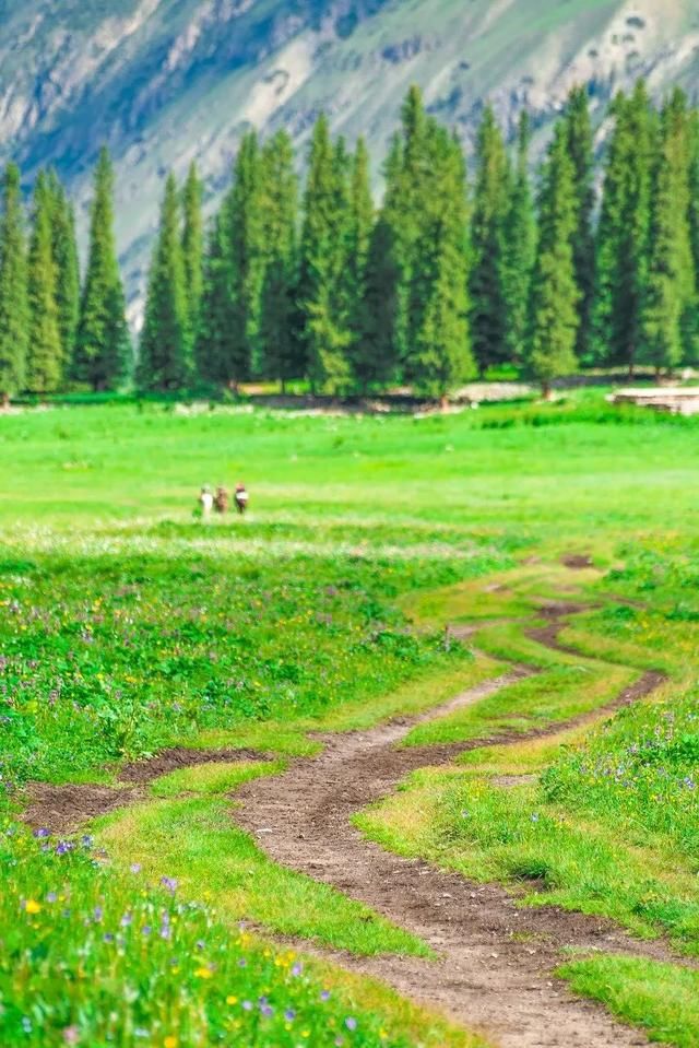 去了北疆才知道，中国有多大；去了南疆才知道，中国有多美