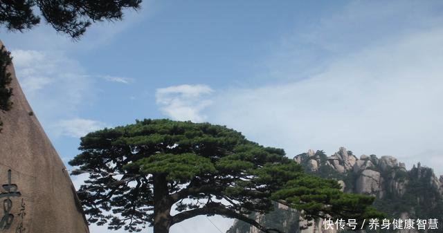 人口争夺战安徽各城市常住人口 安徽人口最多城市不是合肥