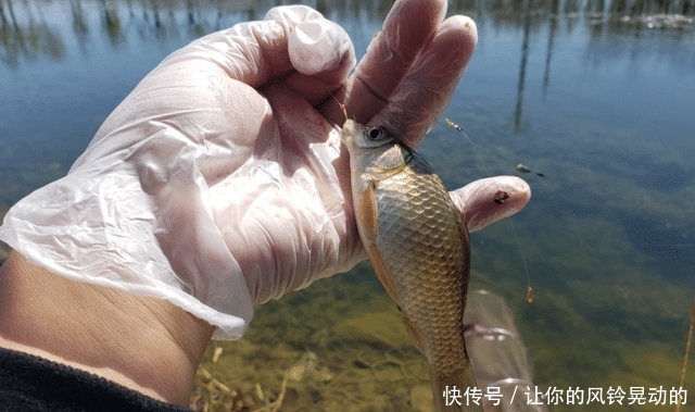  『出钓』人间芳菲四月天，野钓莫忘要防晒！出钓两天四个月的美白成泡影！