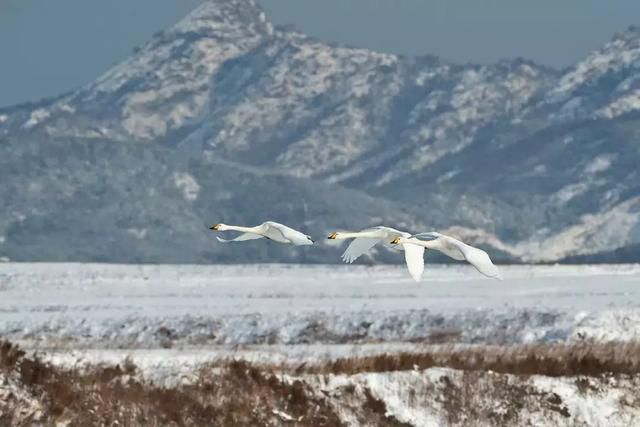 最适合春节旅行的目的地,小众冷门,避开人山人海!