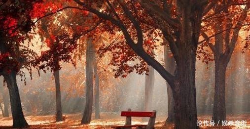 如何用诗句形容四季之美？