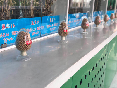 建三江农业科技园区：智慧农业结硕果