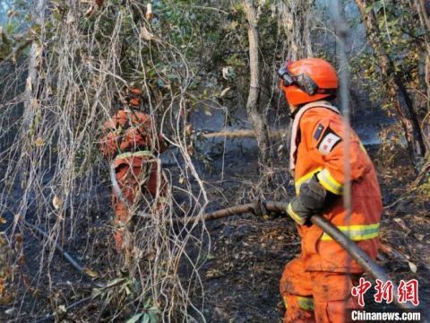  『迪庆』云南迪庆森林火灾仍在持续 310人紧急增援