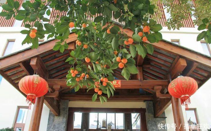 秋季的大理究竟有多美，你来了才知道！