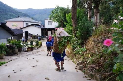 云南这个民族很奇怪，茶要烤着吃，吃核桃蘸蜂蜜，女人害怕陌生人