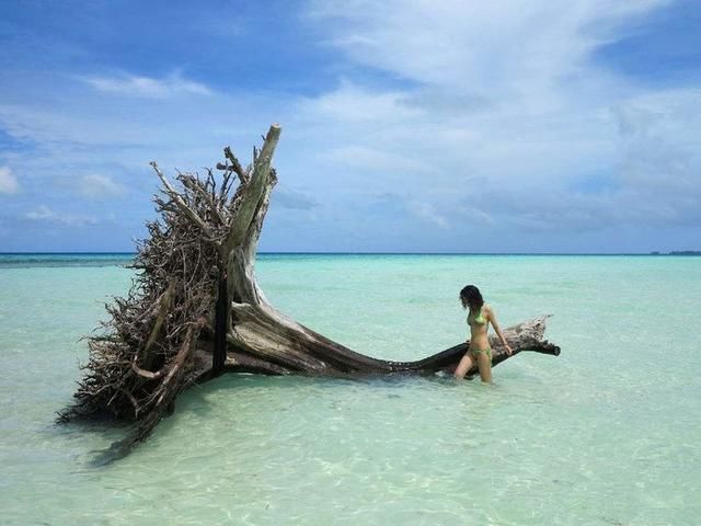 惹恼了中国人民，旅游收入直接减半，网友：免签也不去